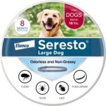 Prevención y tratamiento de pulgas de gatos grandes Advantage XD para gatos de más de 9 libras. | 2 dosis tópicas, 2 meses de protección por dosis