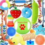 Aipper Juguetes para perros, paquete de 25 unidades para diversión y limpieza dental, paquete de juguetes masticables para cachorros con juguete de felpa con chirriador, pelotas chirriantes, juego de